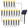 20LED วอร์ม