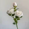 สีขาว