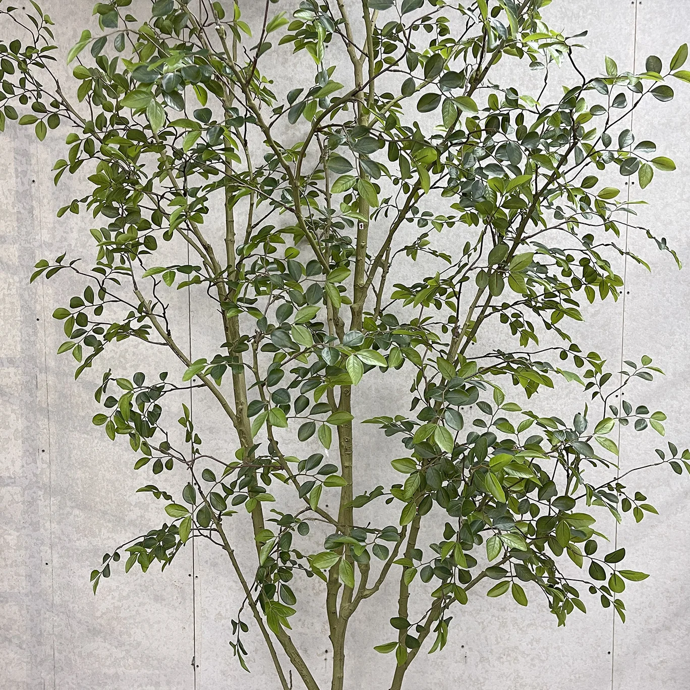 New Artificial Crape Myrtle Tree Suitable for Landscape Layout Florist Recommended Style Home Decoration-149