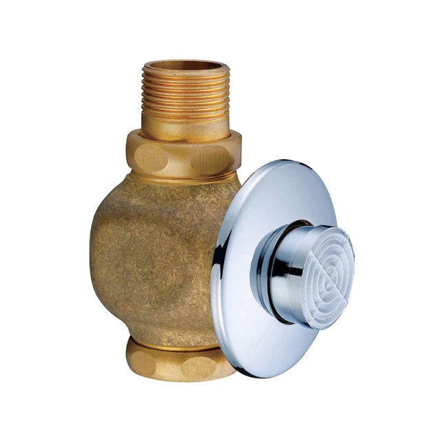 自闭冲洗阀马桶冲洗阀系统oem黄铜浴室镀铬踏板特征材料水产地类型