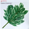 Feuilles de manguier à bords blancs