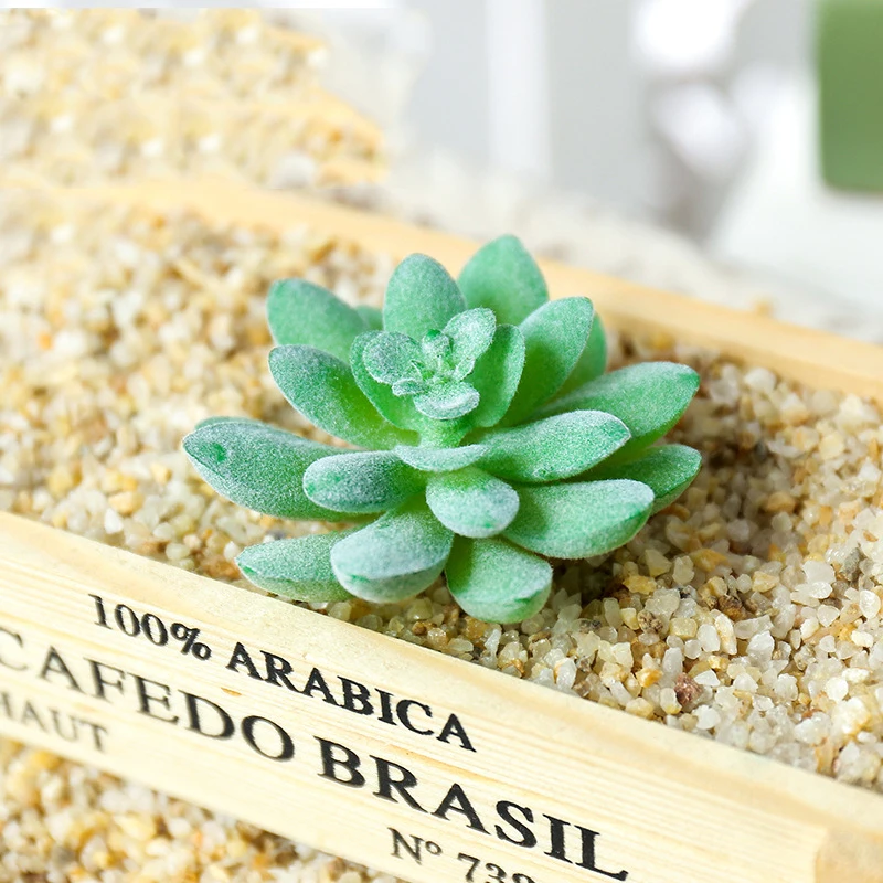 inexpensive flower seeds Last Year's Flower Seed Variety Pack