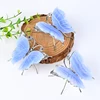 Blue Lace Agate