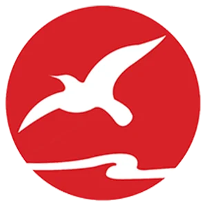 FLYING LIGHTING GROUP (HK) LIMITED