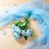 Azzurro di cielo
