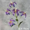 Dark purple gold lily