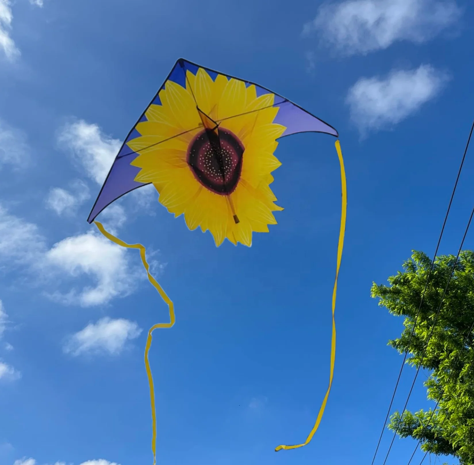 Best Selling Factory Custom Delta Kite With Kite String Flying Kite