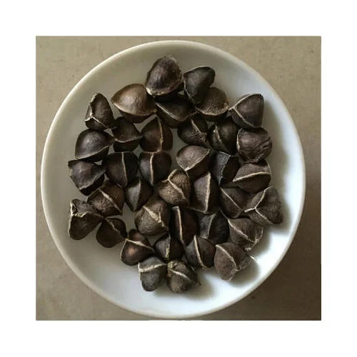 pkm1 seedblack drumstick seeds(moringa seeds) 5
