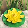 Yellow Eva lotus flower [Leaves approximately 28cm]