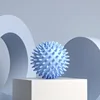 Hedgehog ball blue-opp pack
