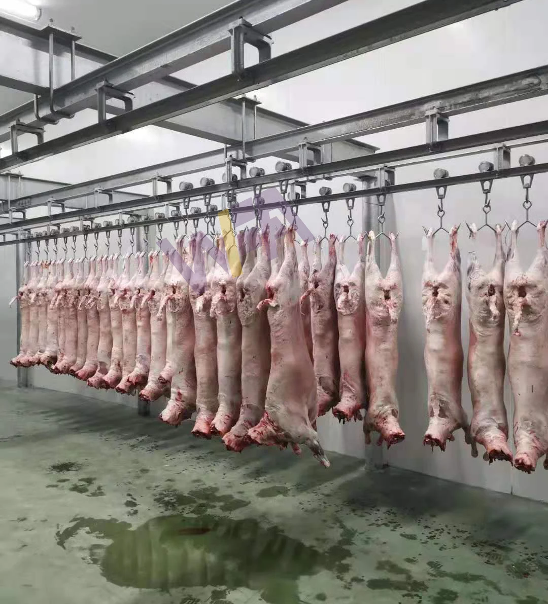 Halal Slaughter House Line Lamb Slaughtering With Mutton Meat Processing for Sheep Abattoir