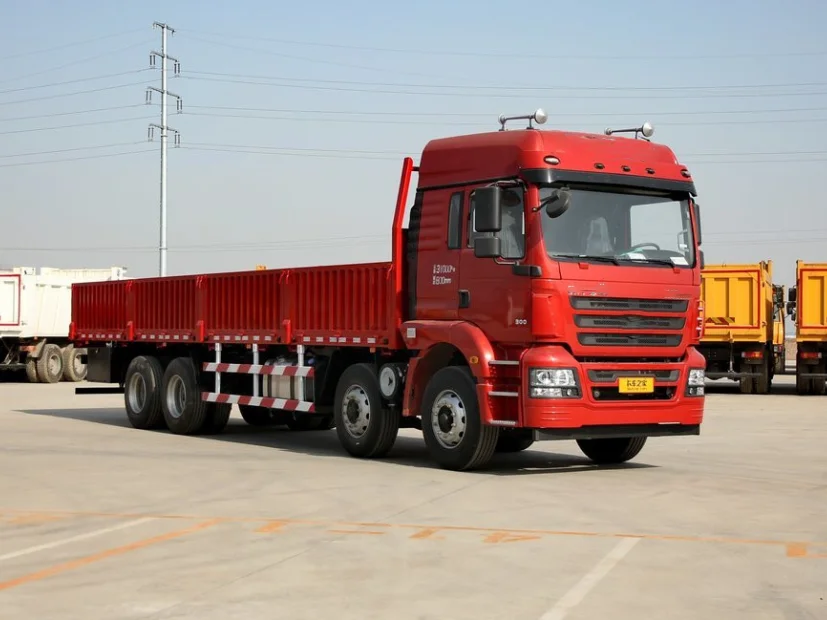 Китайский бренд Shacman грузовой грузовик F3000 8x4 дизельный