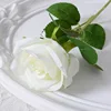 Bianco chiaro