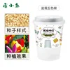 Five-color pepper planting kit