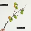 10 petites branches vertes