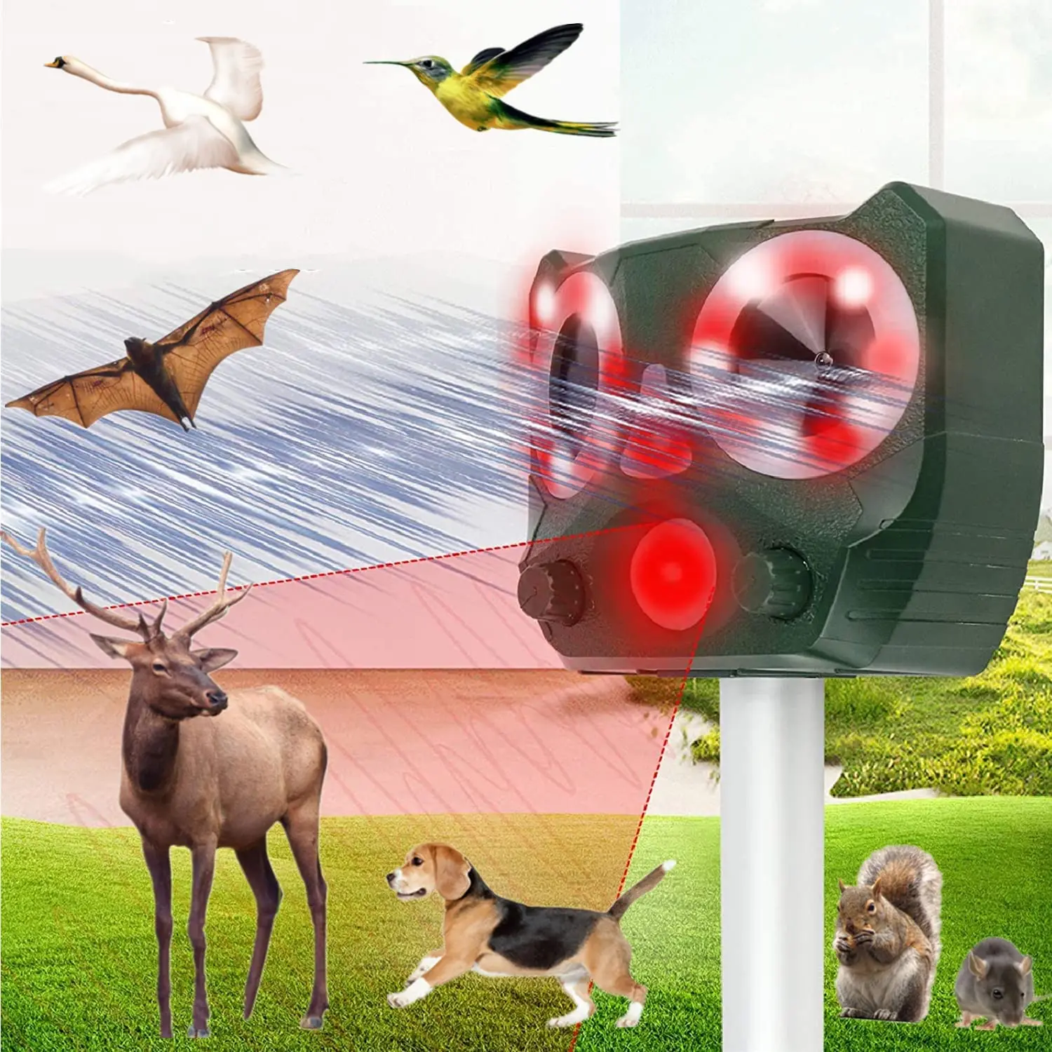 SJZ-119 Solar bird mouse animal repeller with thank u card repell monkey cat dog factory