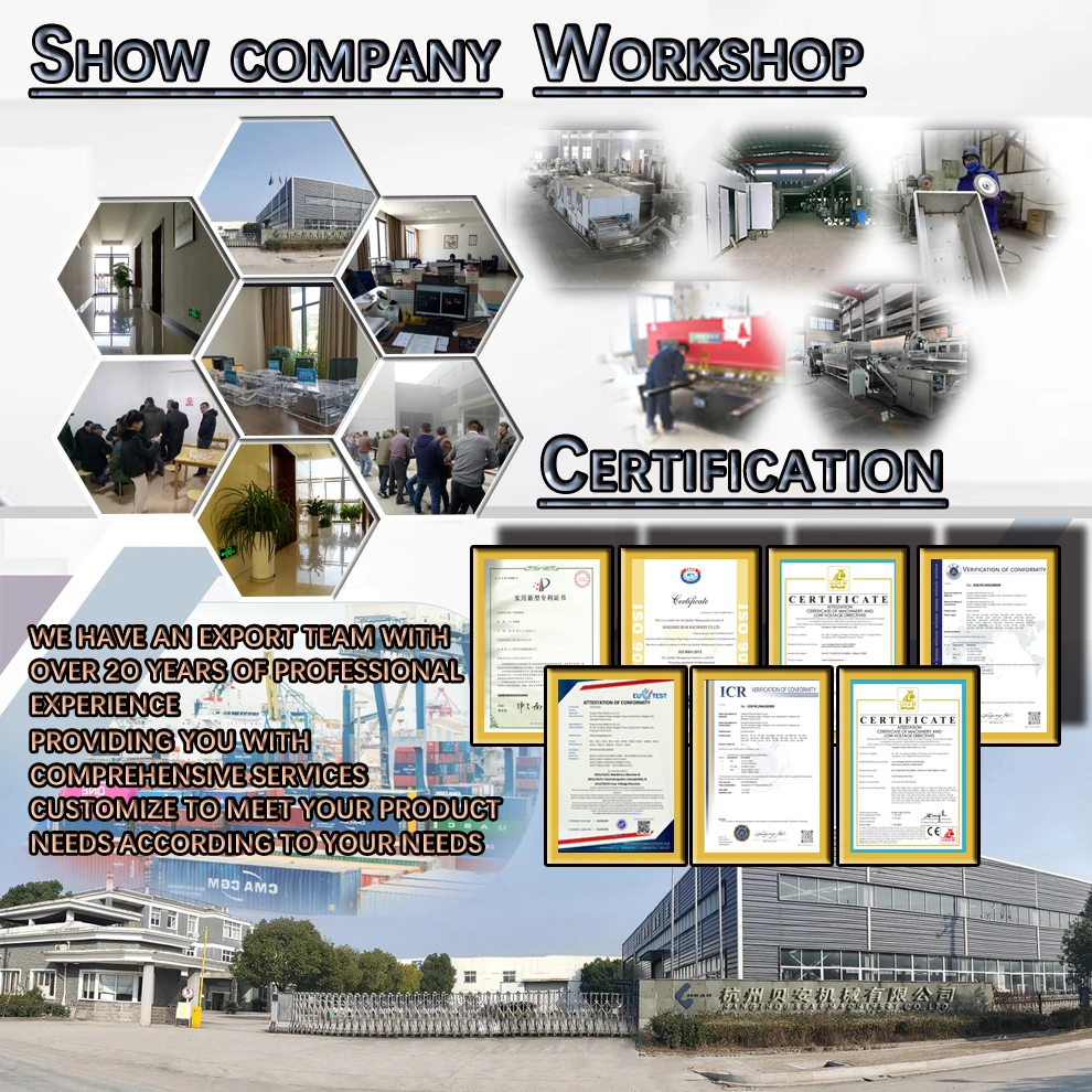 Spices and Condiments Vibrating Fluidized Bed MSG White Sugar Vibrating Fluidized Bed Salt Dryer