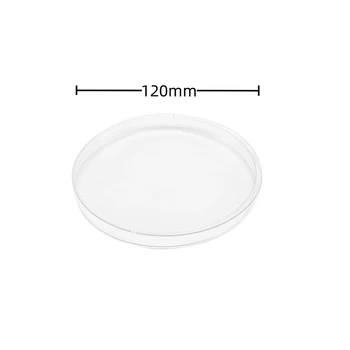 Solid And Durable Cell Cultured Ps Petri Dish Laboratory Direct Pish