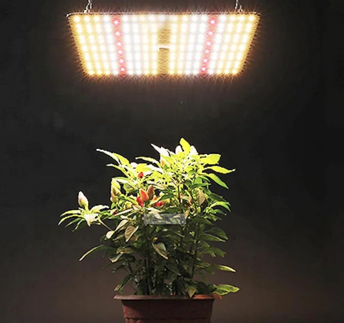 Садовая палатка для выращивания растений, комнатный тент для гидропонных систем, теплиц, комнатных цветов, 80x80x160 см