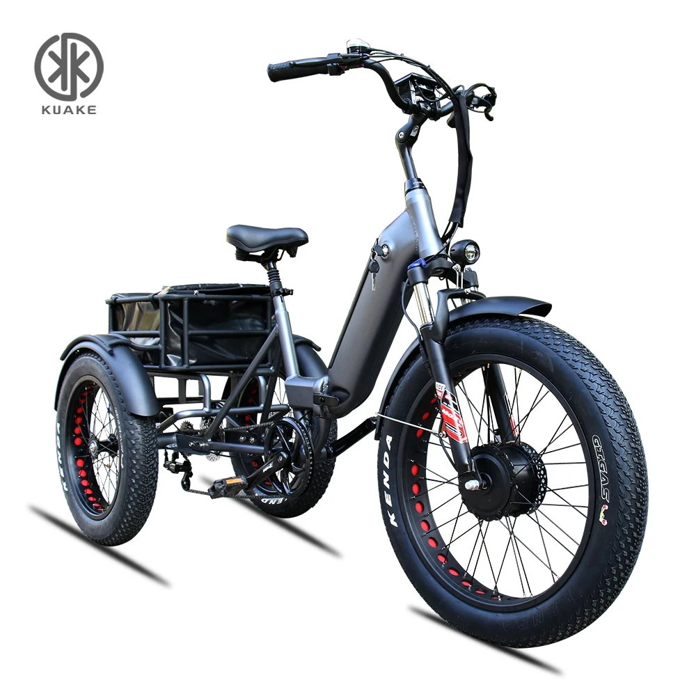Perraro Trike Electric Bike 750W lupon.gov.ph