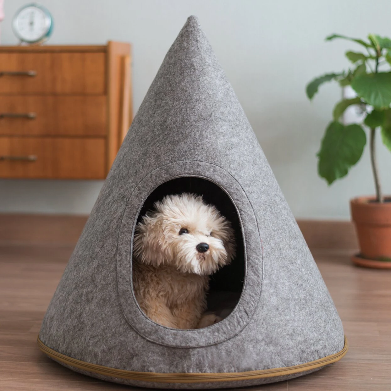 pet cave bed