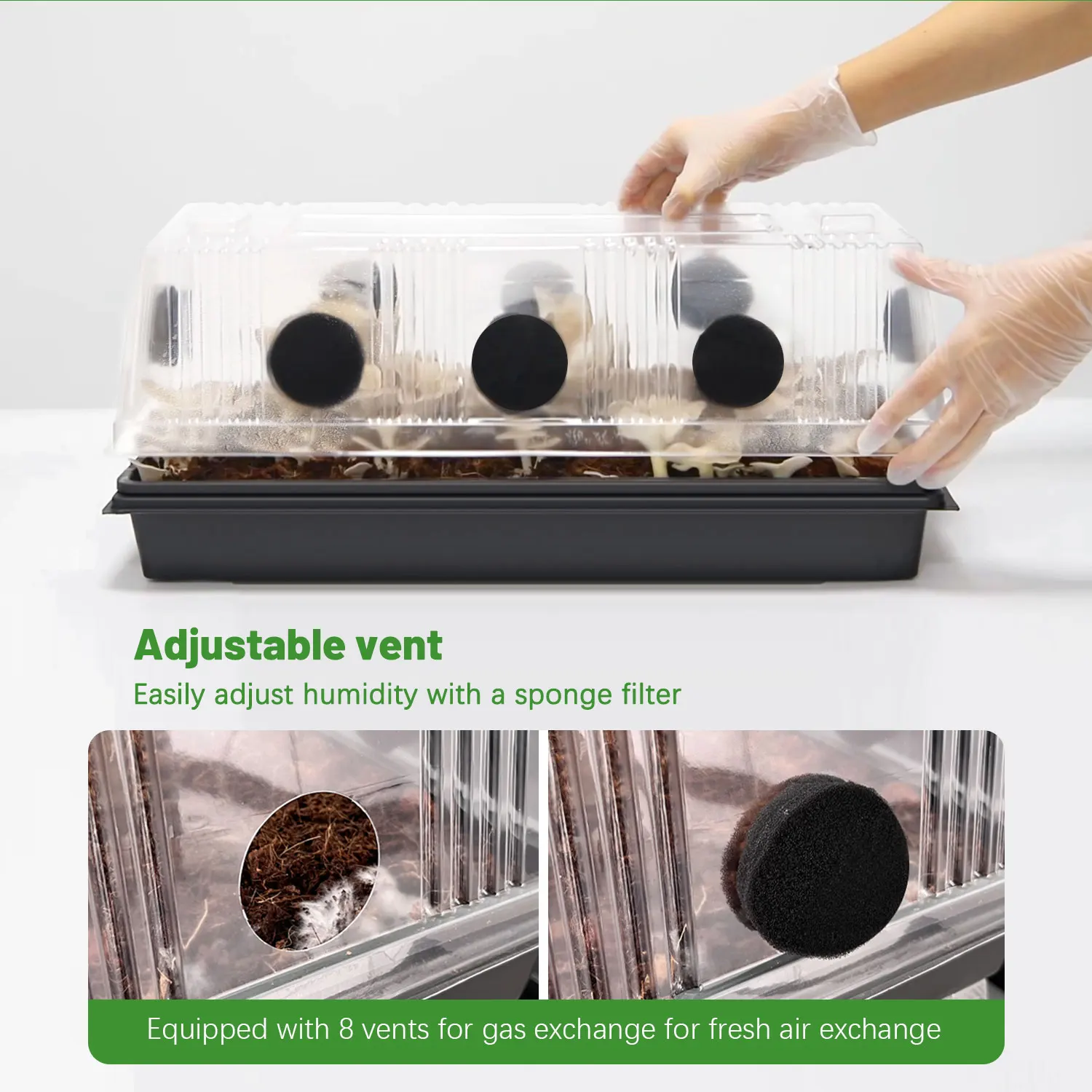 Complete Mushroom Grow Kit Box for Dung Loving Mushrooms with Filter Cotton for Plugging Holes , Seedling Planting Pad Paper