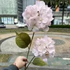 Hortensia#8