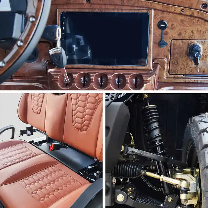 2025 New Energy Golf cart with cargo box