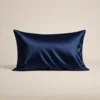 Blu navy