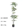 Nuevo Árbol del Dinero de 150 cm