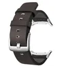 Gray silver buckle