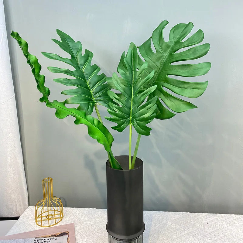 snake plant for sale Sansevieria Trifasciata Laurentii aka Snake Plant