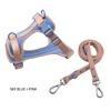 Light Blue and Pink