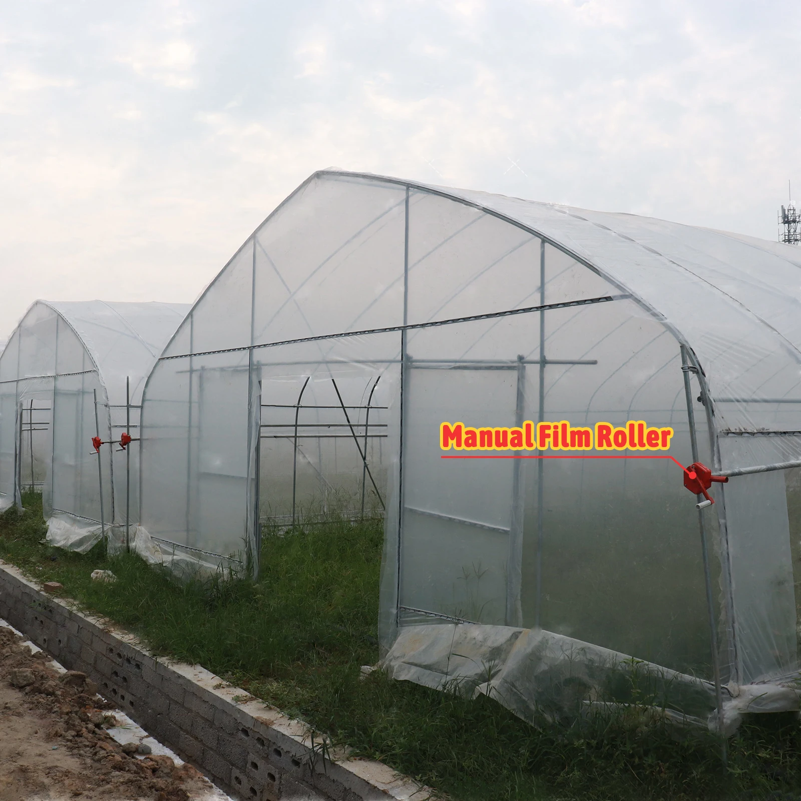 Plastic Film Conservatory Single Span Tunnel Plant Growing House Hydroponic Dome Greenhouse
