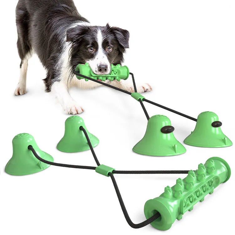 dog toy with suction cup