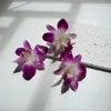 1 pcs color 31