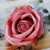 Rosa otoño