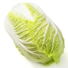 2023 New Season Fresh Vegetable Exporter With International Certifications Fresh Chinese Cabbage