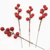 Fruta roja