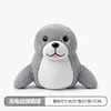 Grey seals without bouncy balls