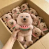 7 peluches (contáctanos para obtener el catálogo con más de 6000 estilos)