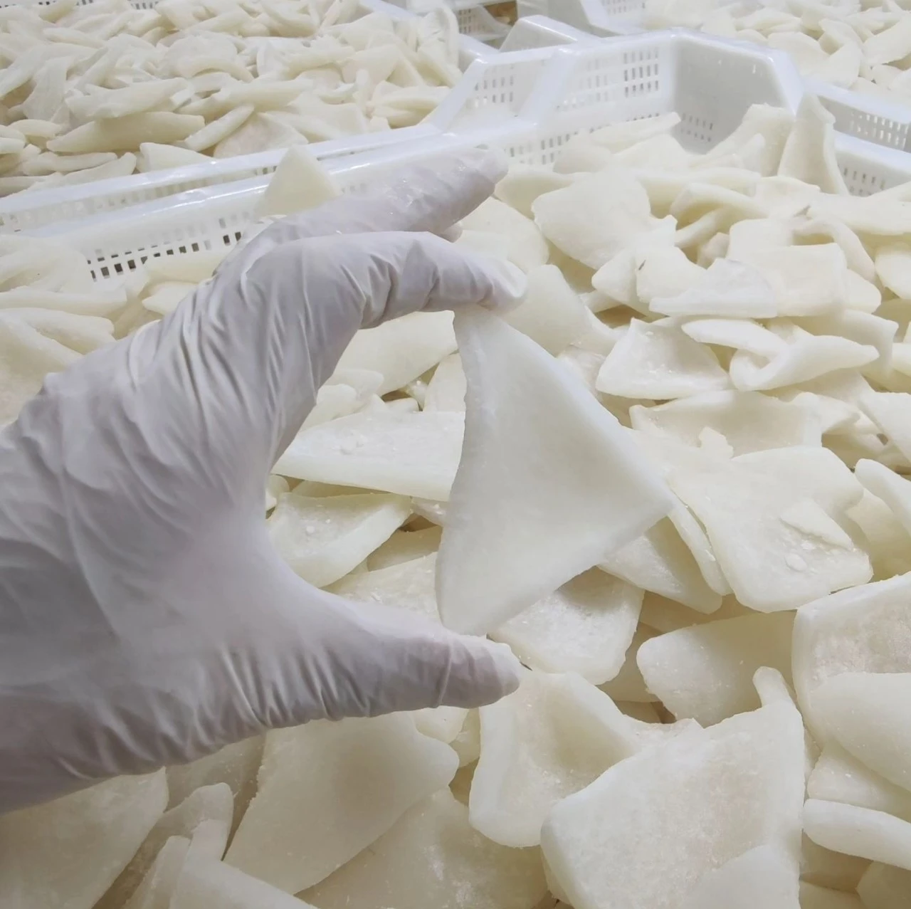 Freeze Dried Coconut Chunks Wholesale Bulk - Natural & No Additives H8a5c43e451f14b3d88353bee8eb48842n