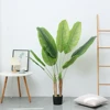 Plantain Tree 140cm
