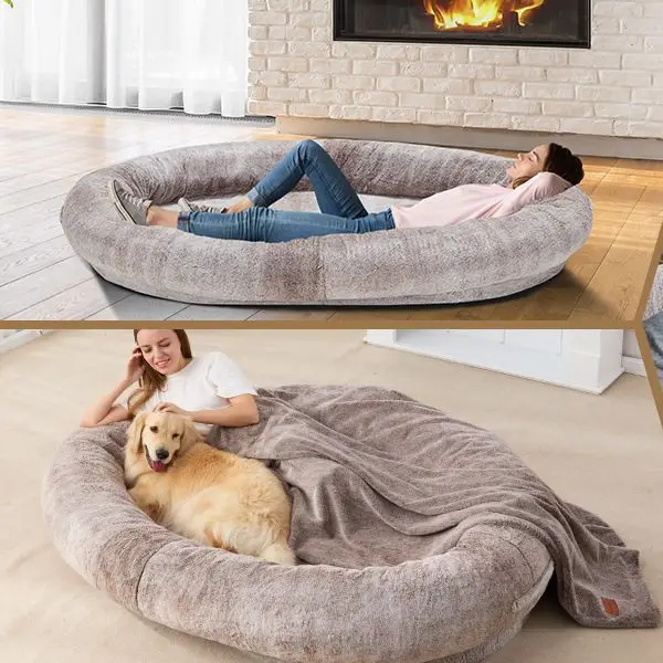 Large Bean Bag Bed For Humans Beanbag Dog Bed Human Sized Large Dog Bed   H8a6162a9408a49389a536a3280db96e6I 