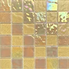 BSS-009