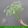 Gypsophila/bianco