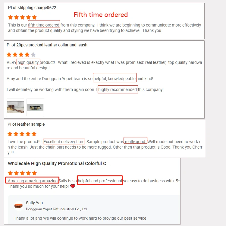 Highly Reflective Shock Absorbing Elastic Pet Leash Heavy Duty Frog