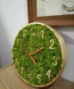 decorazione da parete in muschio