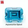 Spinello Acquamarina (Senza AGL)
