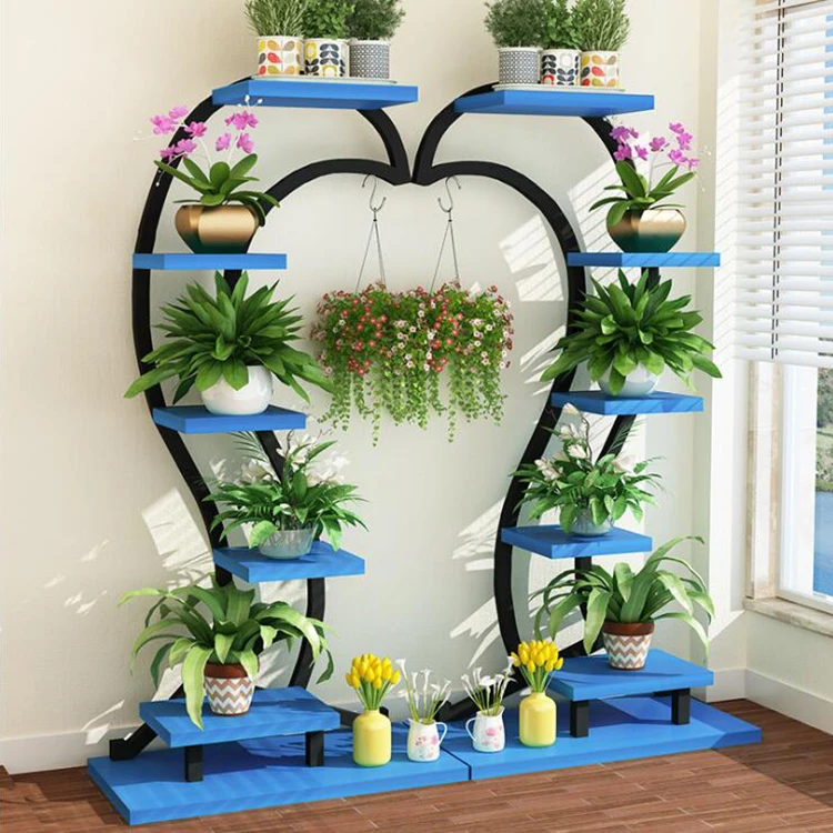 brazilian wood plant deutsch Buy Brazilian Lucky Wood Plant Online